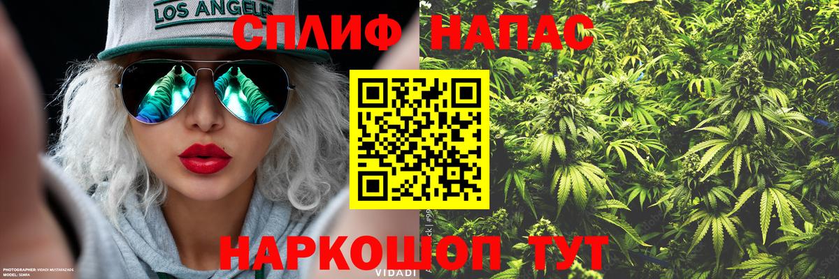 Шишки марихуана план Кингисепп
